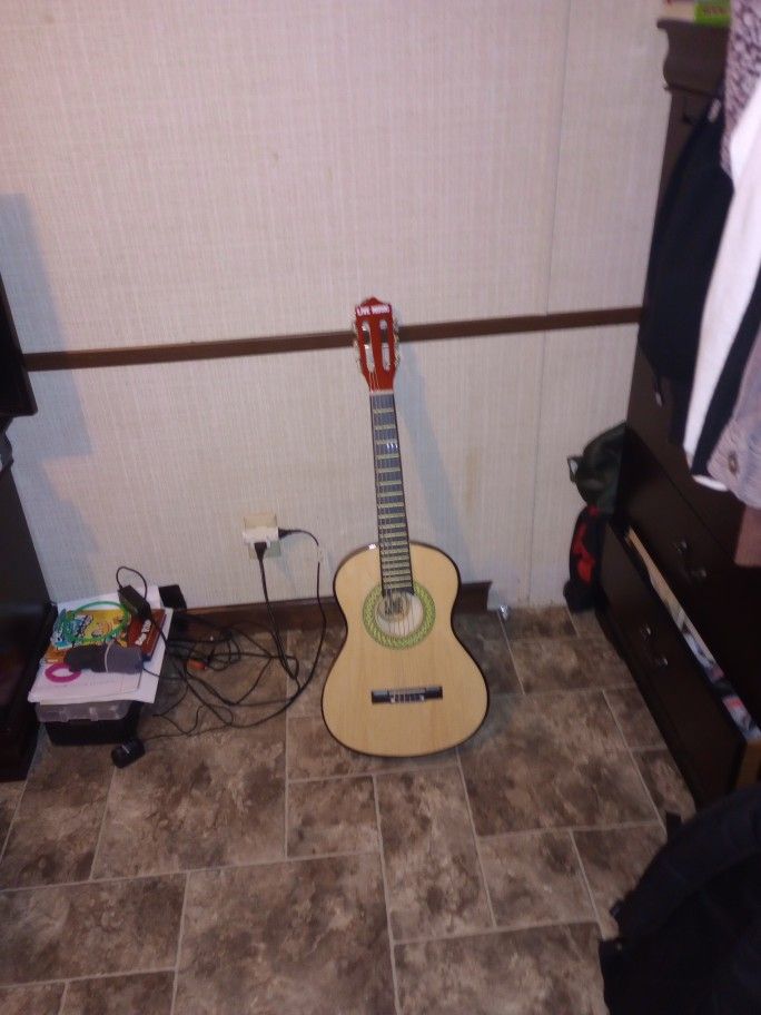 Guitar
