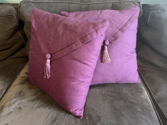 Two Decorative Couch Or Bed Pillows