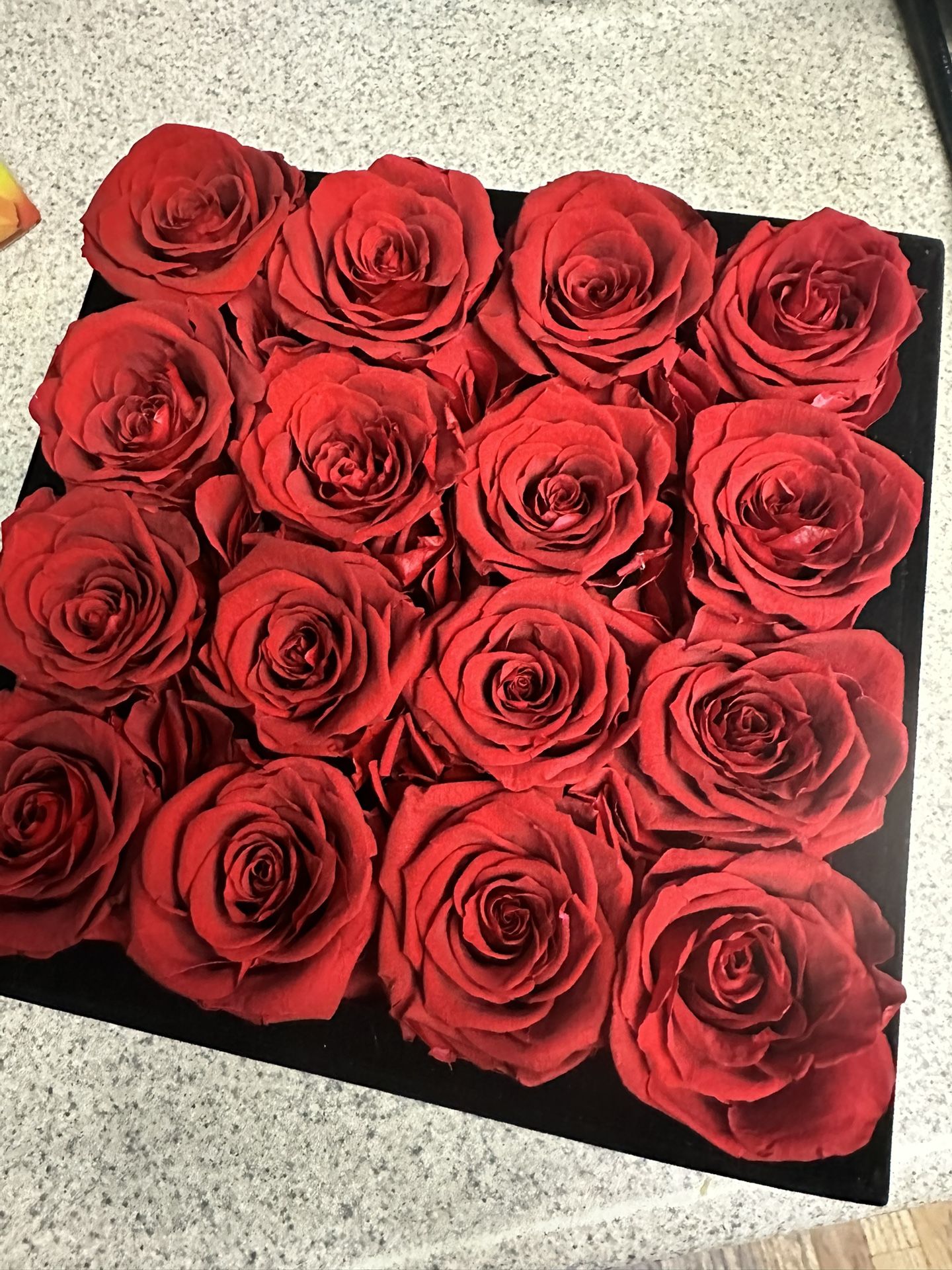 Forever, Real Roses