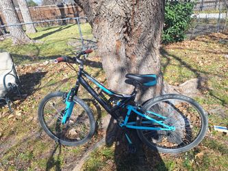 Lady's Mountain Bike 🚵‍♂️ 