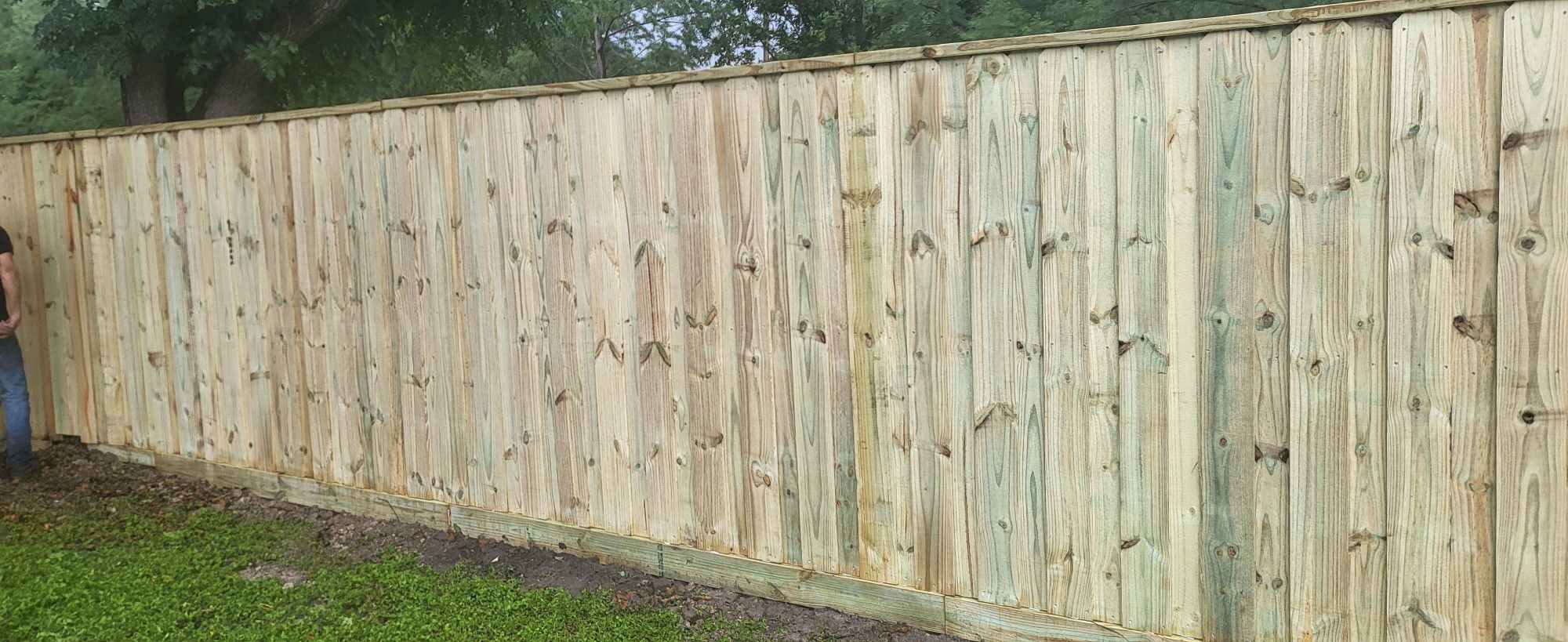 pine wood fence