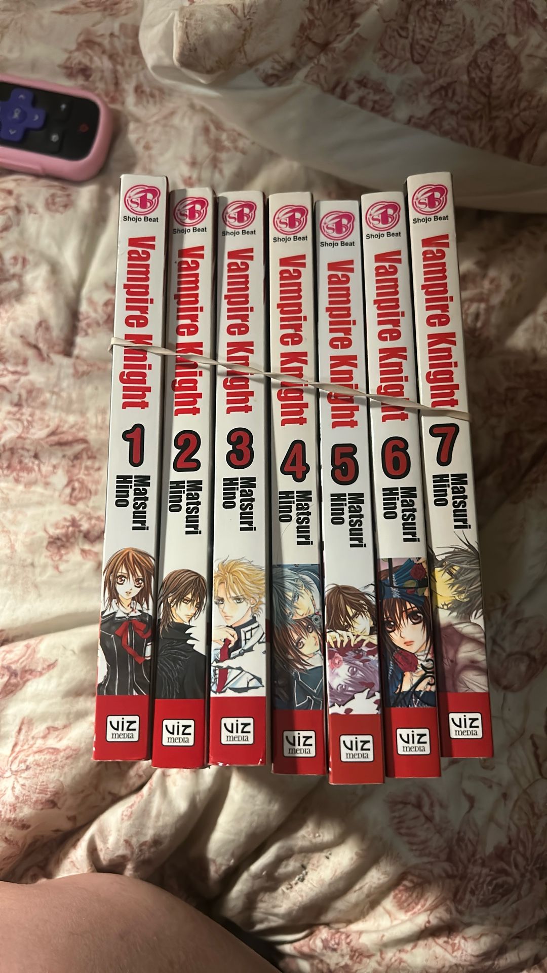 Vampire Knight Manga