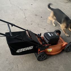 ECHO Cordless Lawn Mower