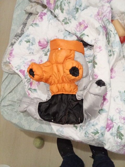 Doggy Snow Suit Brand New A Large Is This Too Small For My Dog