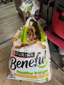 FREE Purina large bag of dog food