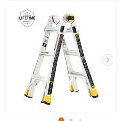 14ft Expandable Ladder