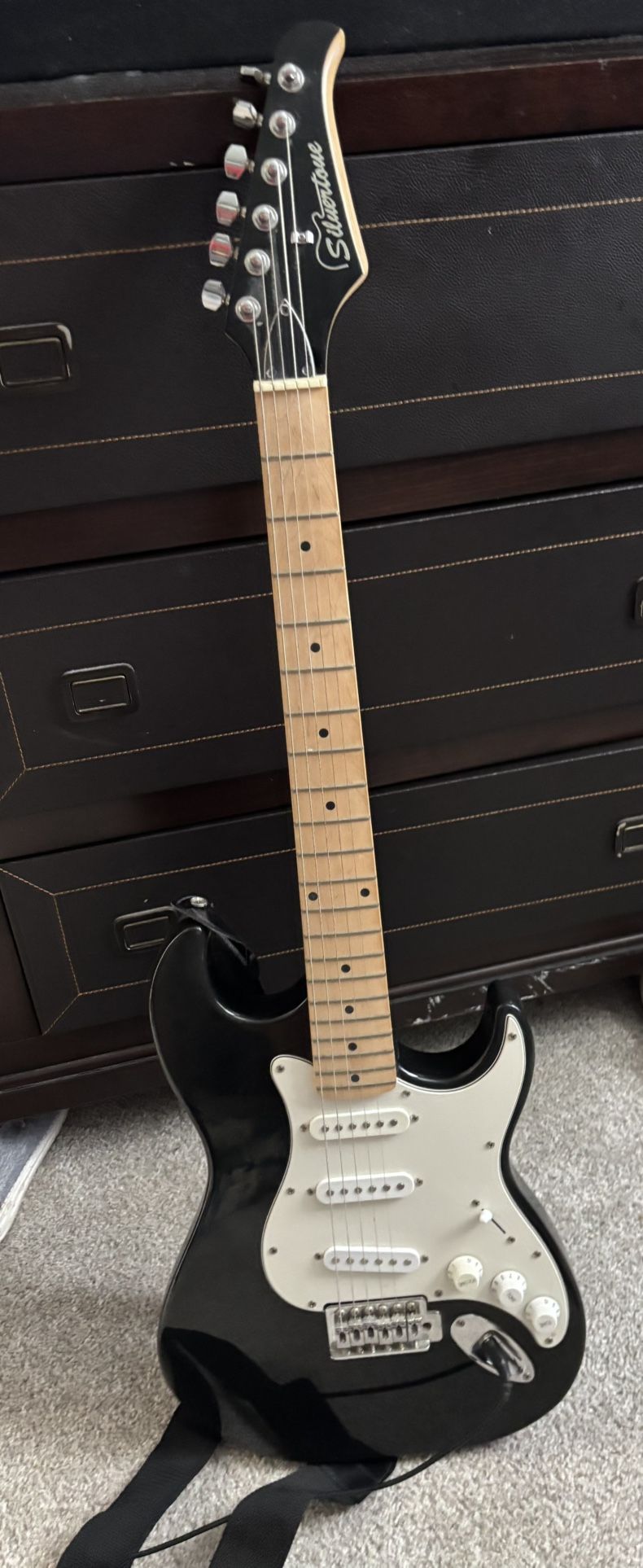 Silvertone Guitar With Accessories