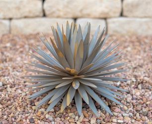Yucca Sculpture by Desert Steel