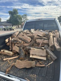 Shaggy Bark juniper Firewood