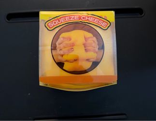 GIANT NEW Cheese Squishy !!