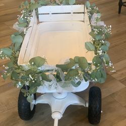 Wedding Wagon To Carry Pet 
