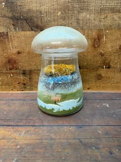 Mushroom Glass Terrarium Jar with Moss and Sand