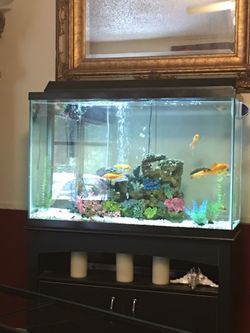 39 gallon aquarium