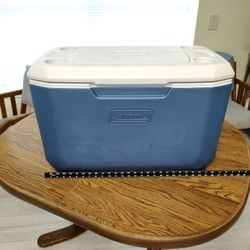 Coleman Cooler Located In Palm Beach Gardens 