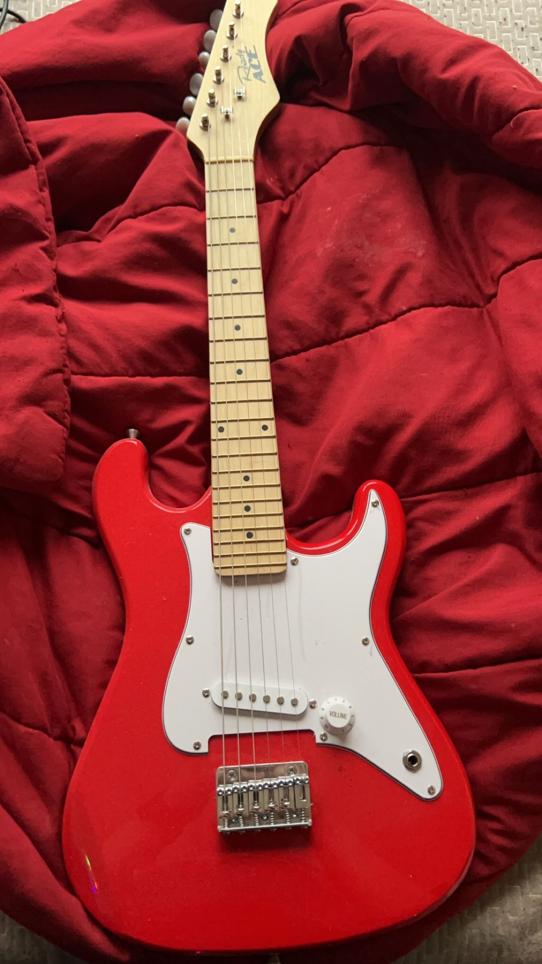 Eleectric Guitar (Comes with Gig Bag)