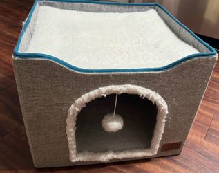 Cat house and a bed