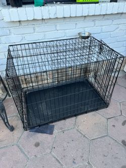 Dog Kennel 