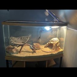 40 Gallon Fish Tank With Stand 