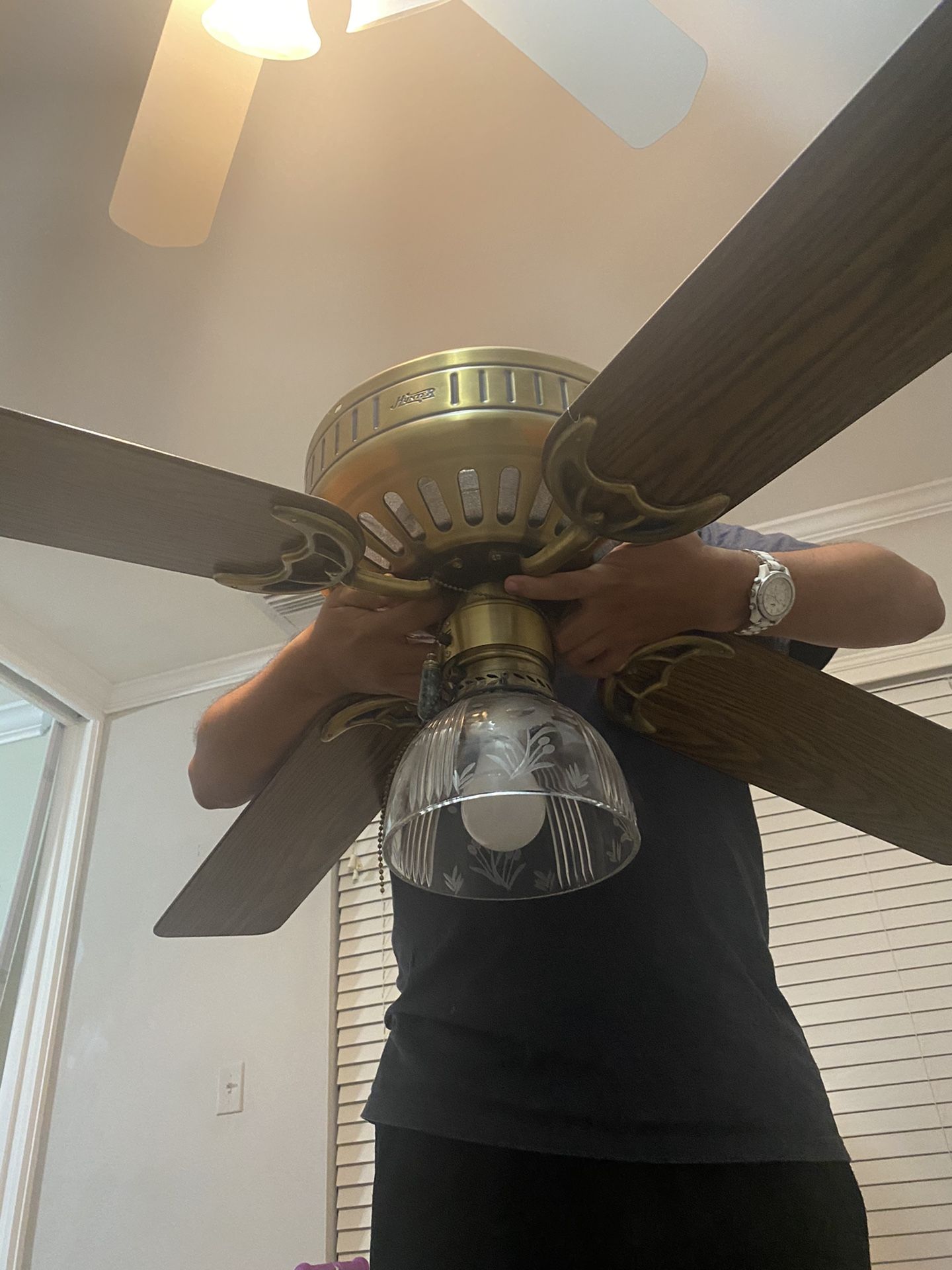 Ceiling fan with light