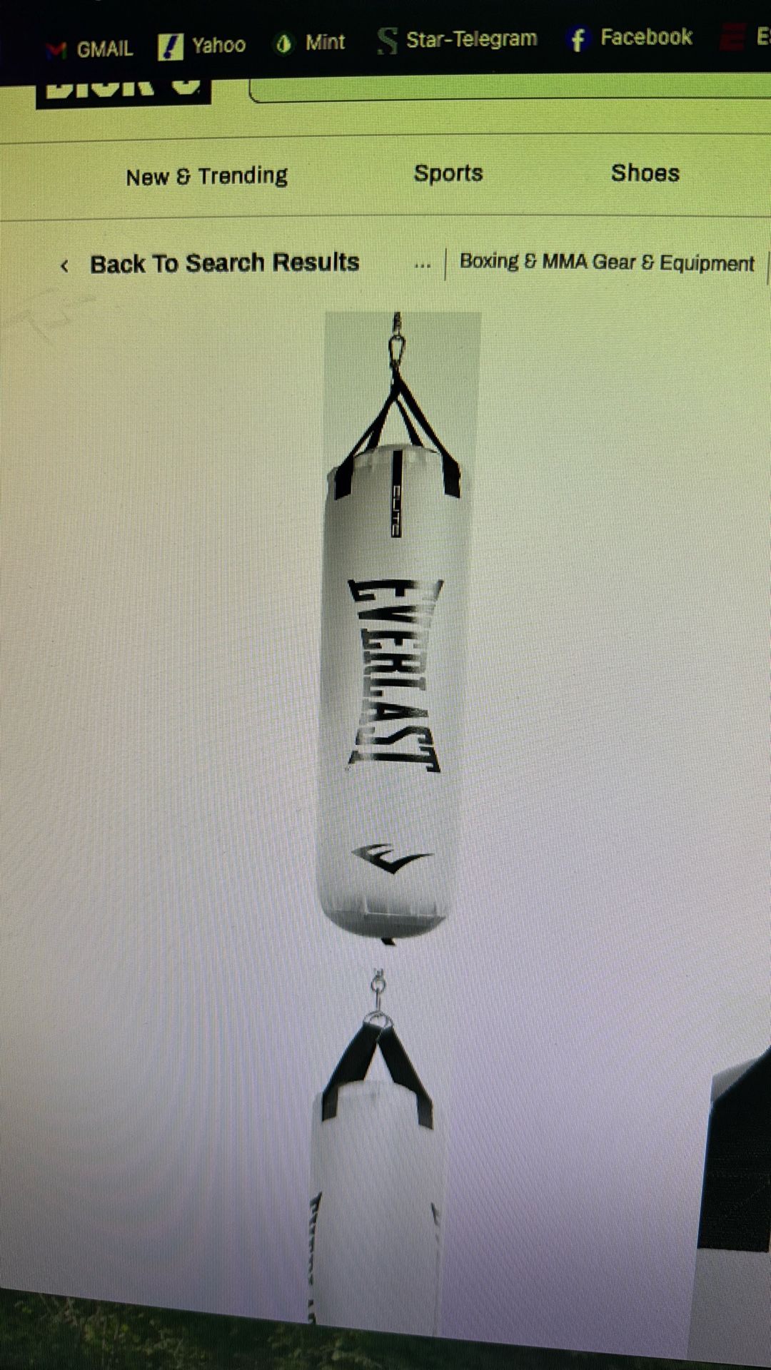 Everlast Punching Bag - 70lb -Used
