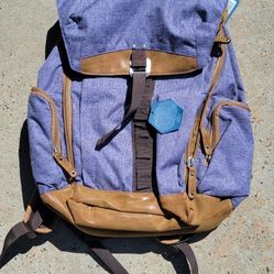 Laptop Backpack 20.00 Price Is Set