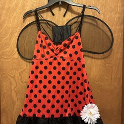 Ladybug Costume/wings & Antennae + Deluxe Wings