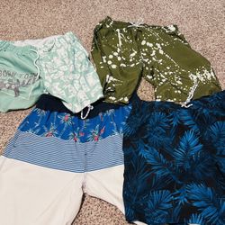 Swim Shorts 