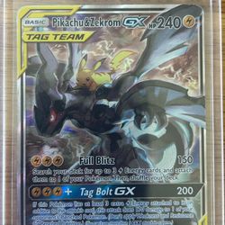 Pikachu And Zekrom Tag