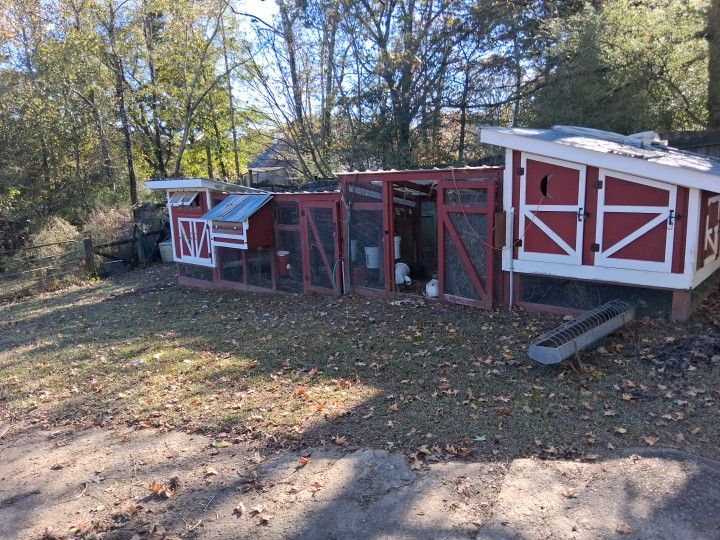 Chicken Coop 