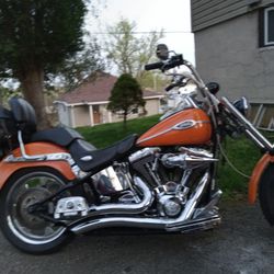 2005 Harley Davidson Softail
