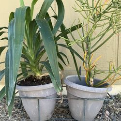 Plants pots basket tools $40