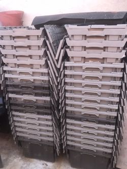 Cajas De Plástico. Para Organizar  