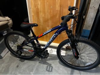 Schwinn Ranger mountain bike