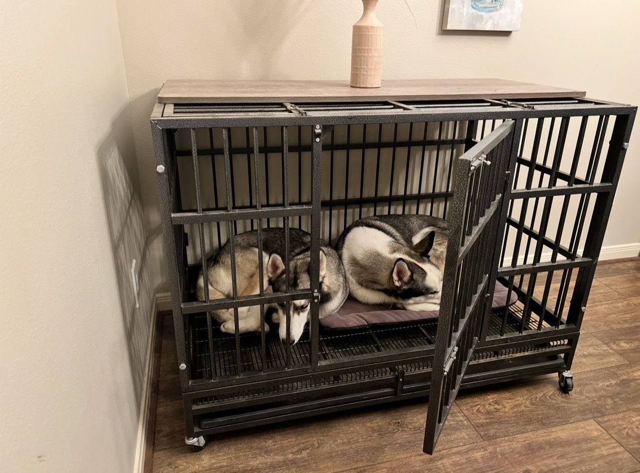 Two Dog Crates