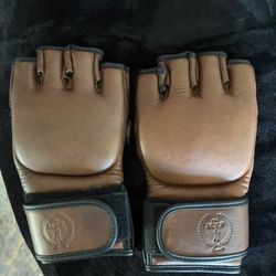 Martial Arts Gloves 
