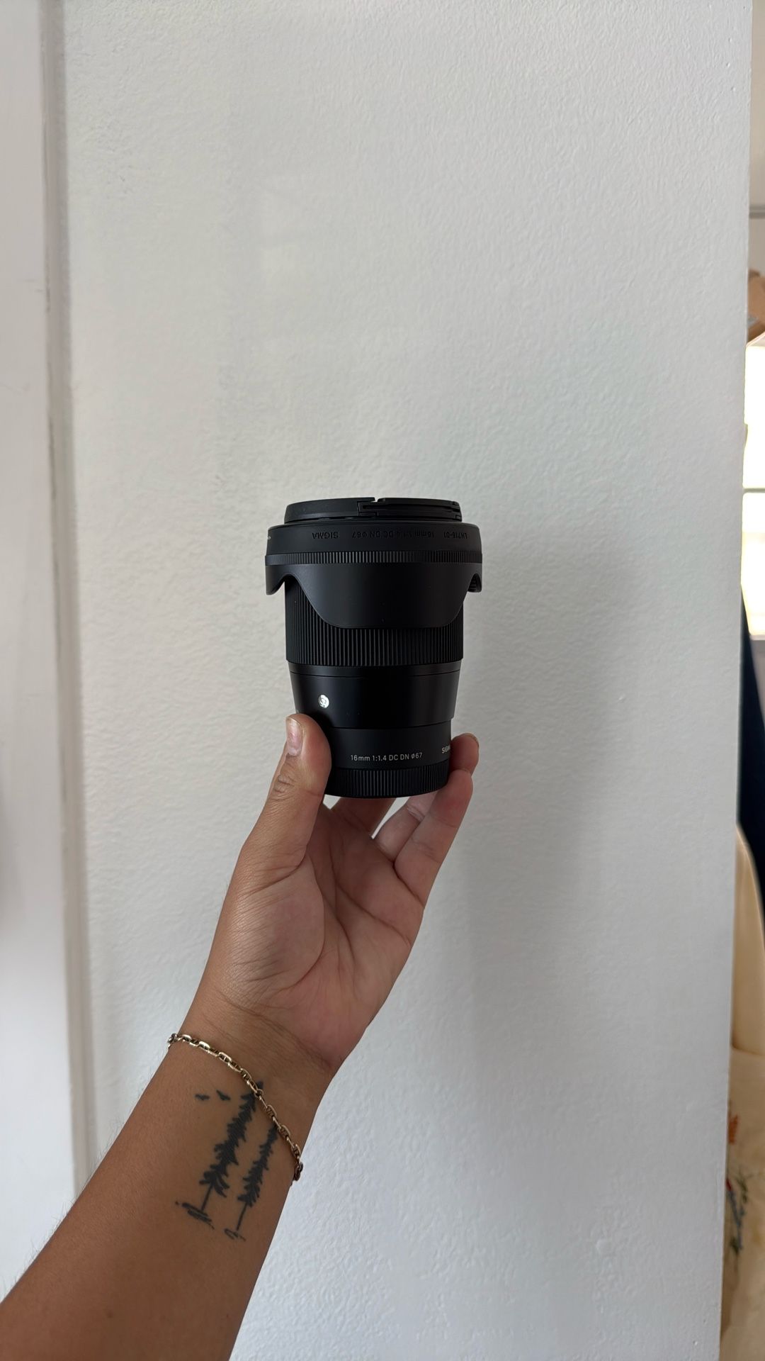 Sigma 16mm 1.4 (Sony)
