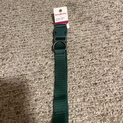 New Boots & Barkley Green Dog Collar XL