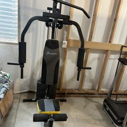 Soozier Home Gym