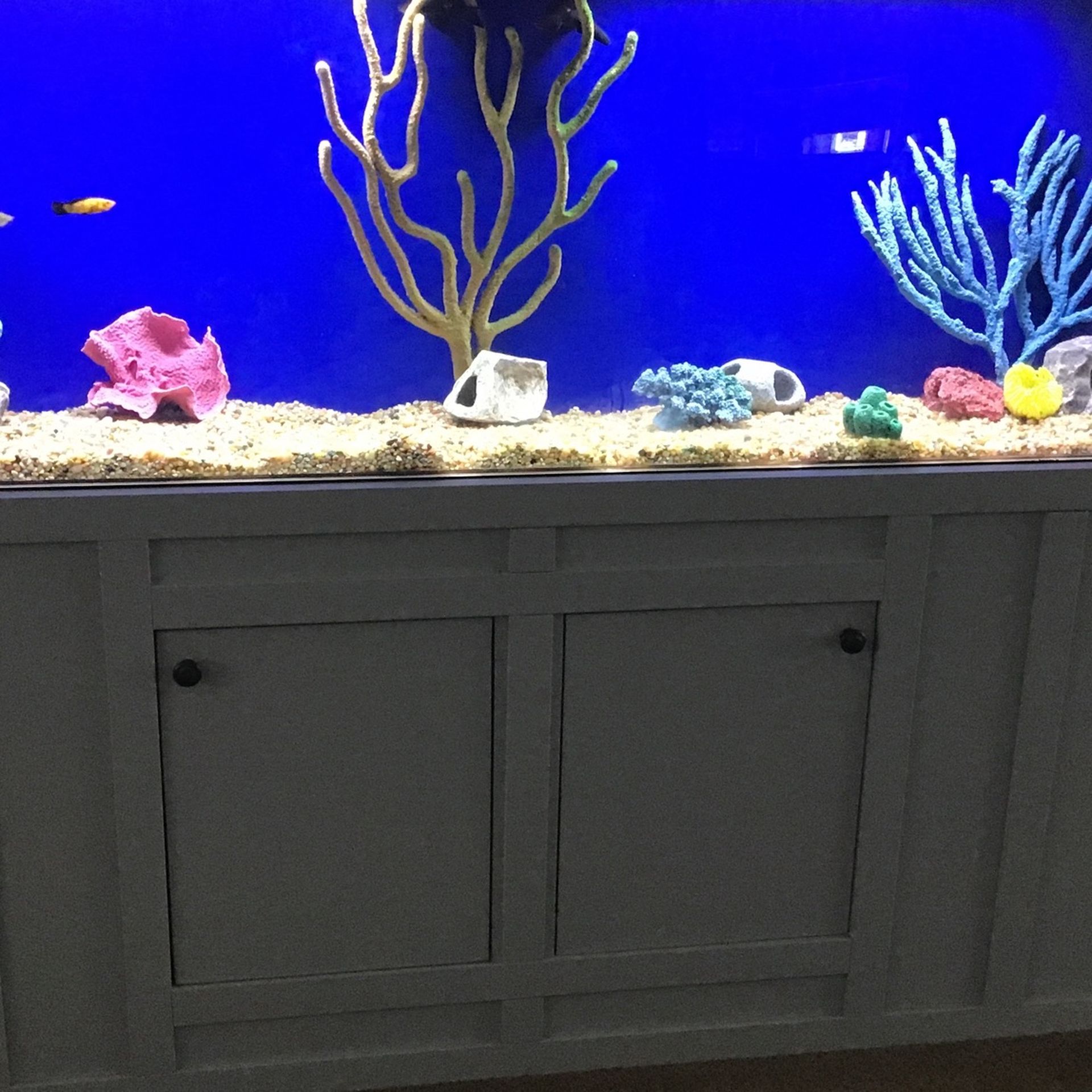 Artificial Custom Made Coral