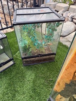 Reptile tank