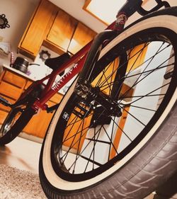 Fit Bike 