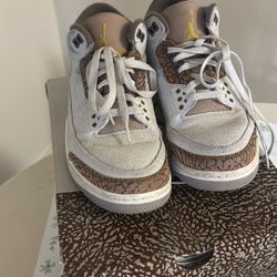 Jordan 3s