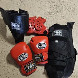 PBS  PRO Gear Boxing/kickboxing 