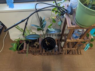 Wooden Plant Stand