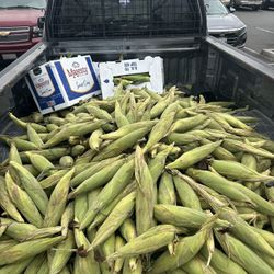 Elotes 🌽 