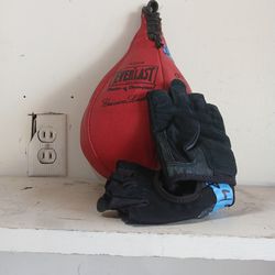 Speed Bag And Short Fingered  Gloves 