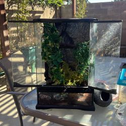  Terrarium for Reptiles And Amphibians