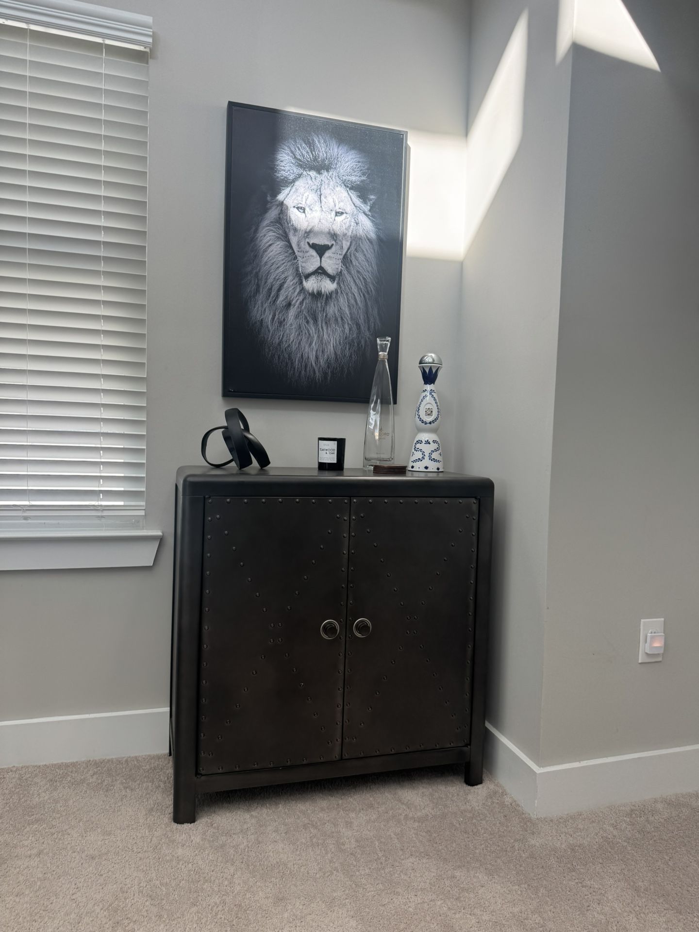 Custom Steel Cabinet