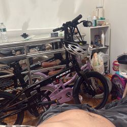 Kabon Folding Ebike  $1,700 Worth 