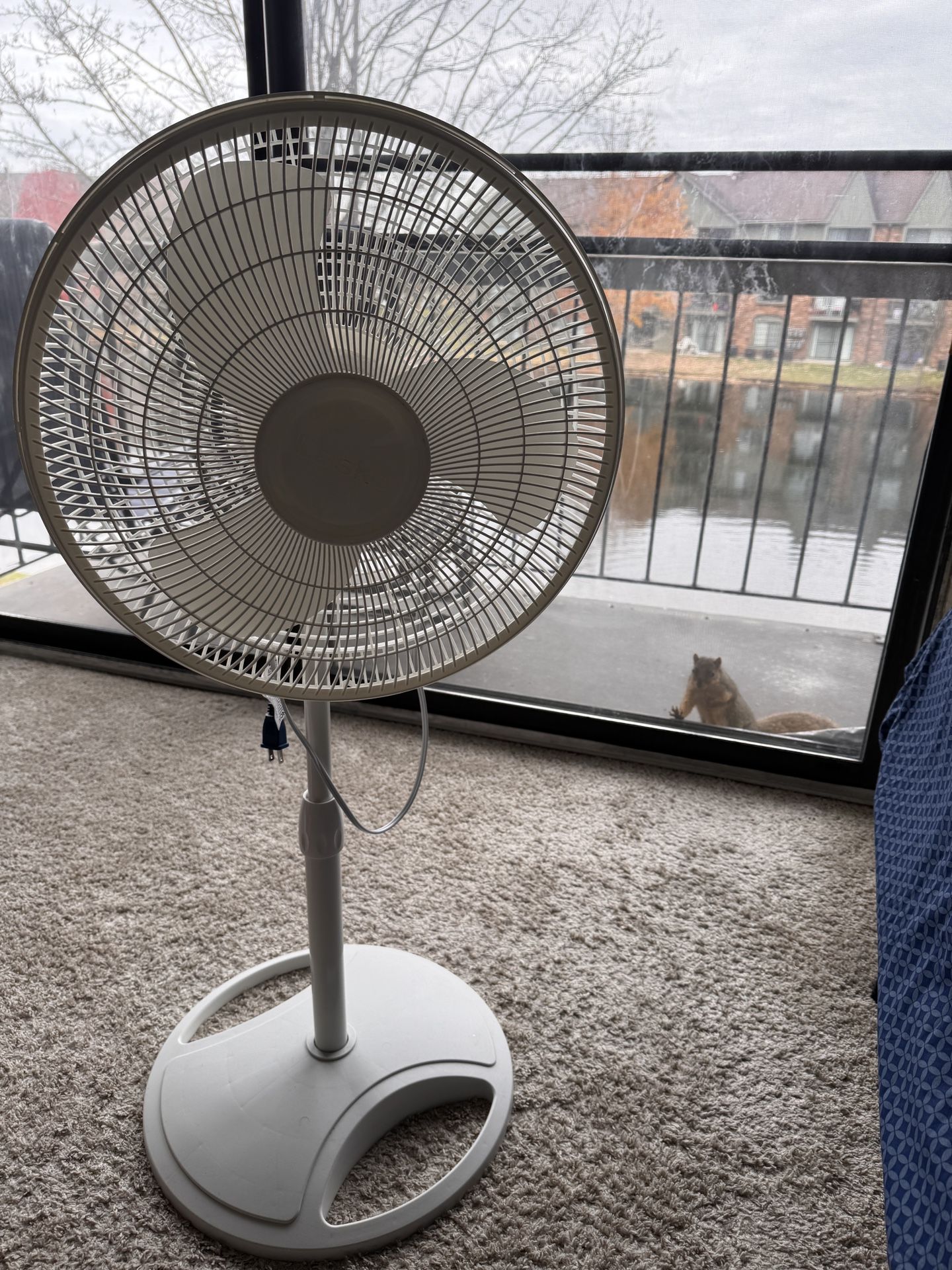 Lasko Standing Fan